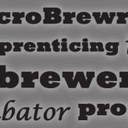 MicroBrewr 039: Apprenticing in a brewery incubator program, with Ferndock Brewing Company.
